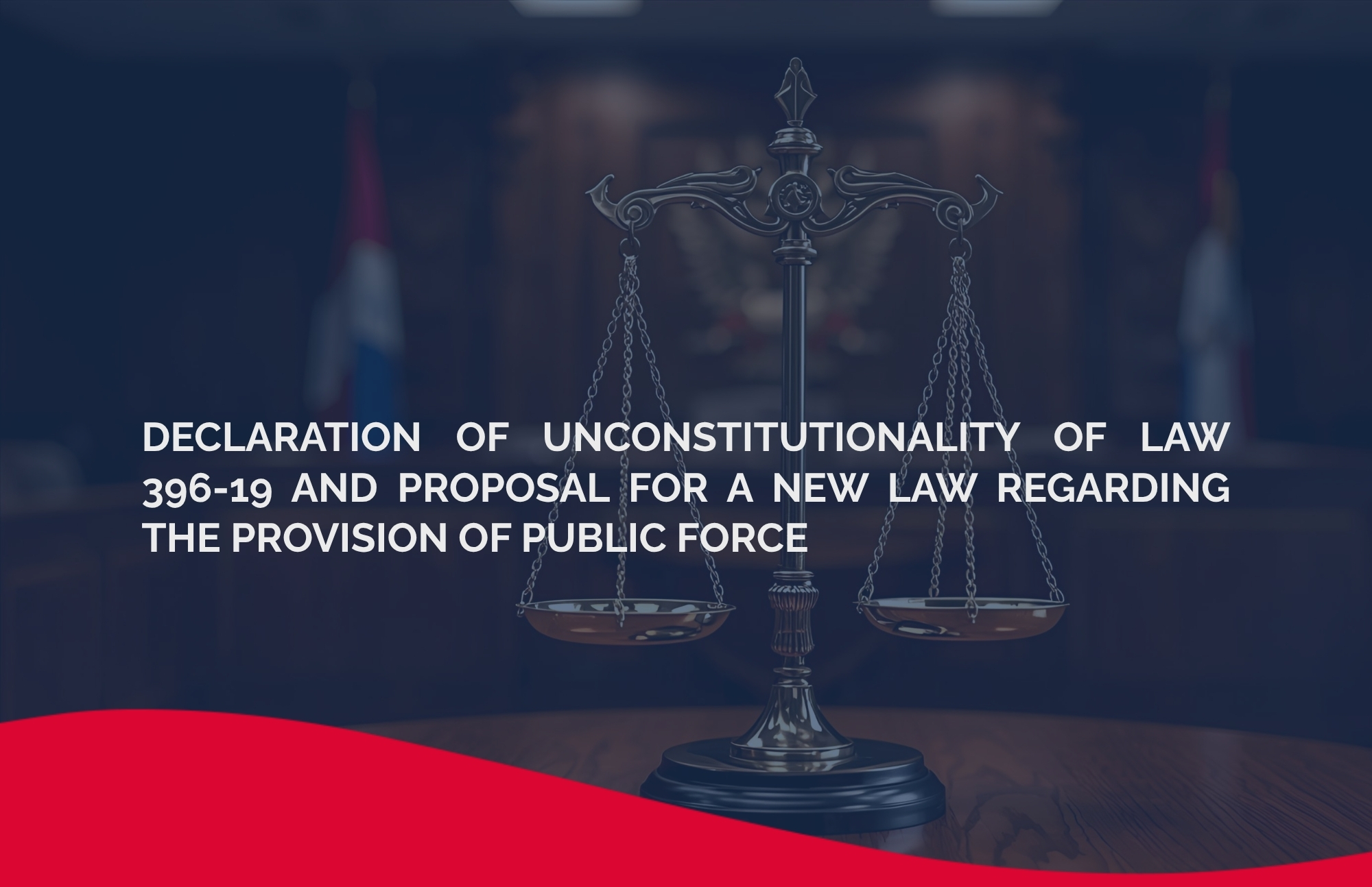 Declaration of Unconstitutionality of Law 396-19 and Proposal for a New Law Regarding the Provision of Public Force